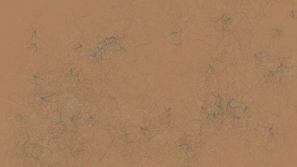 Digital generative artwork by Stanza