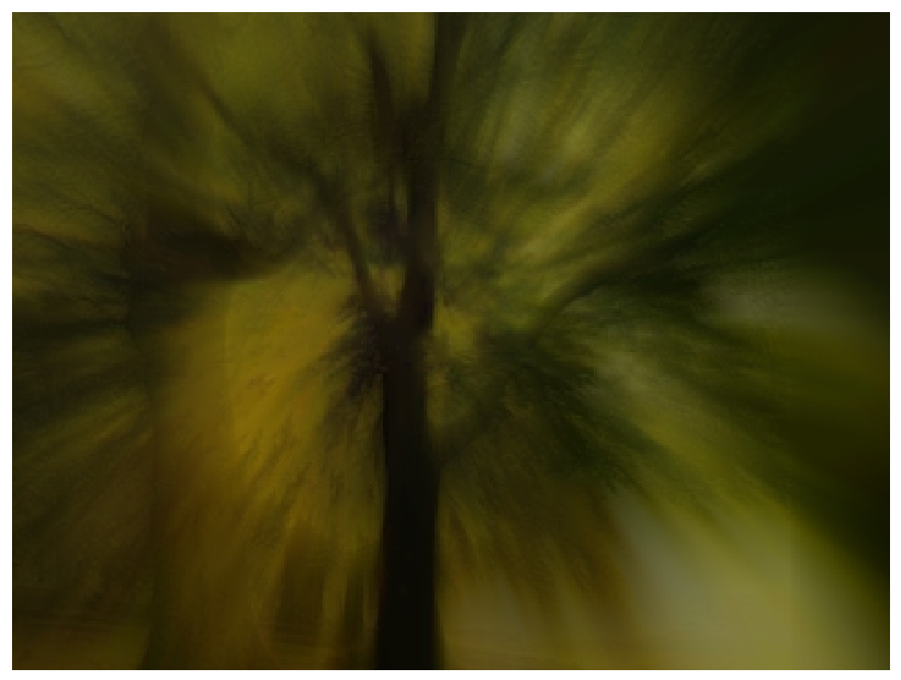 Stanza painting code