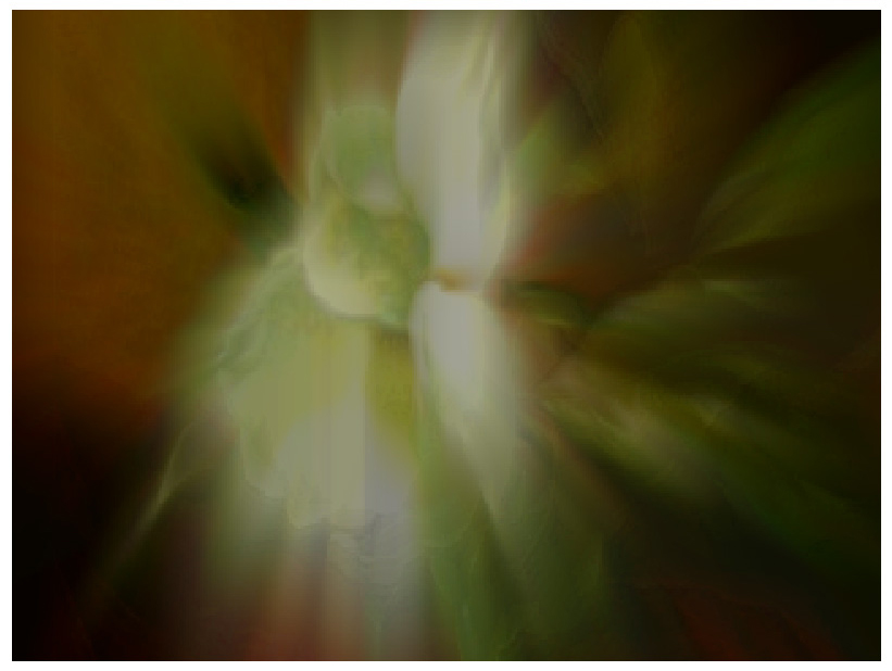 Stanza painting code