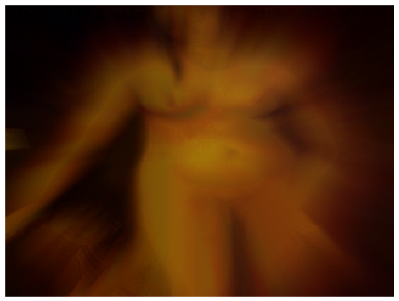 Stanza painting code