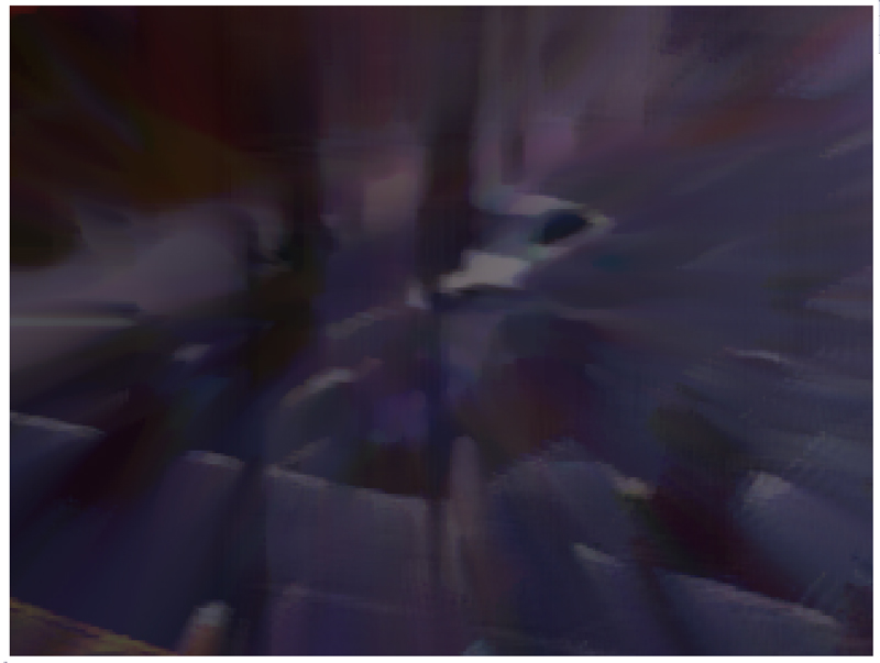 Untitled-221