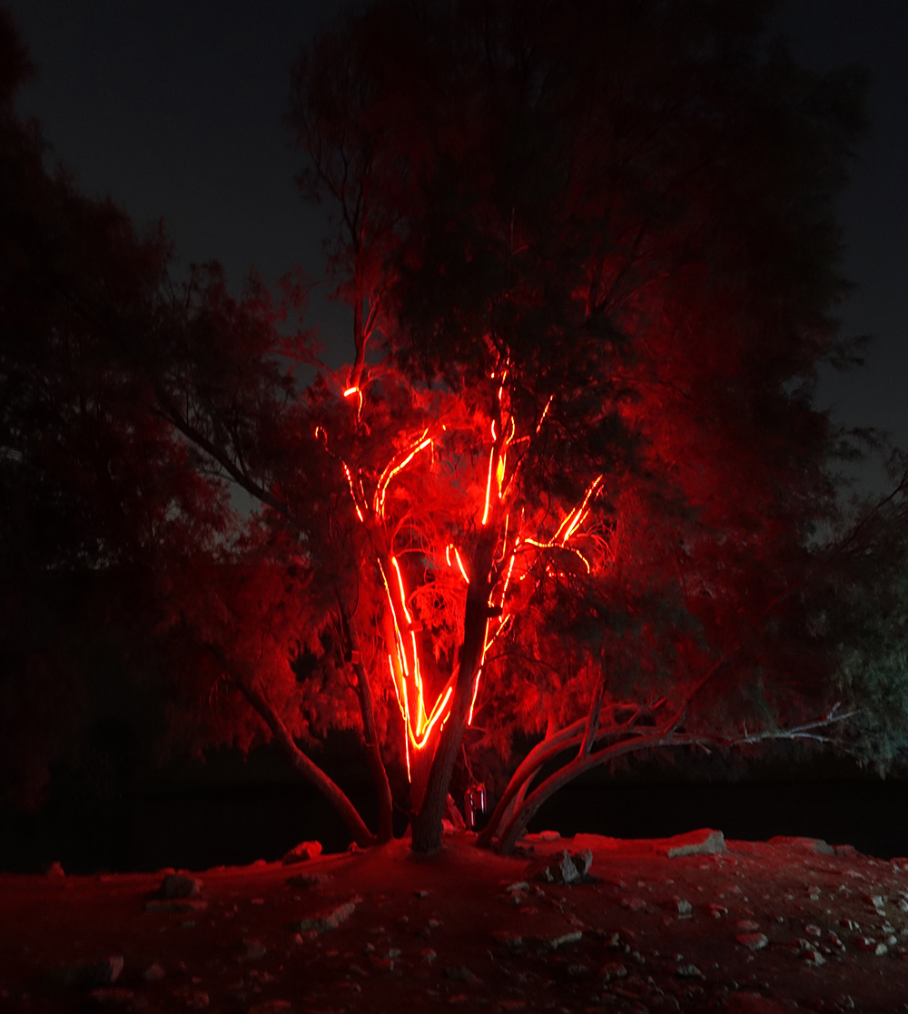 Stanza Out Of Breath. Steve Tanza.