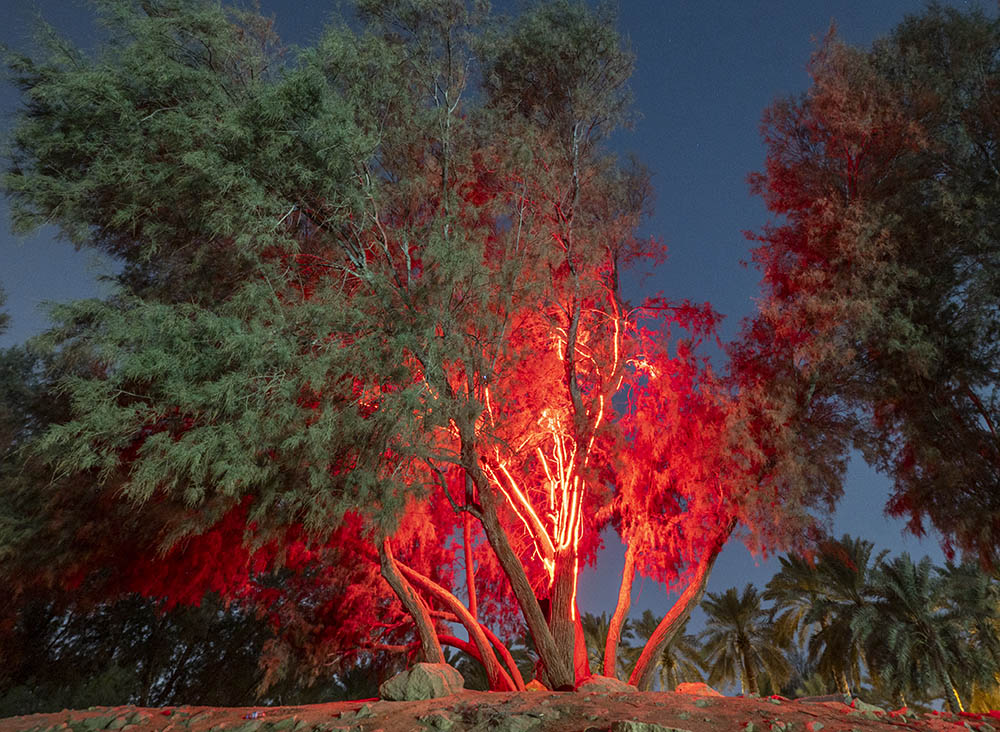 Stanza Out Of Breath. Steve Tanza.