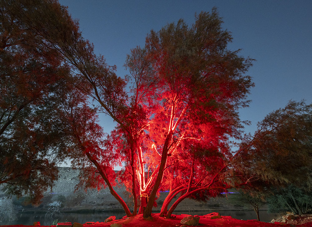 Stanza Out Of Breath. Steve Tanza.