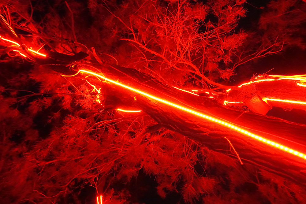 Stanza Out Of Breath. Steve Tanza.