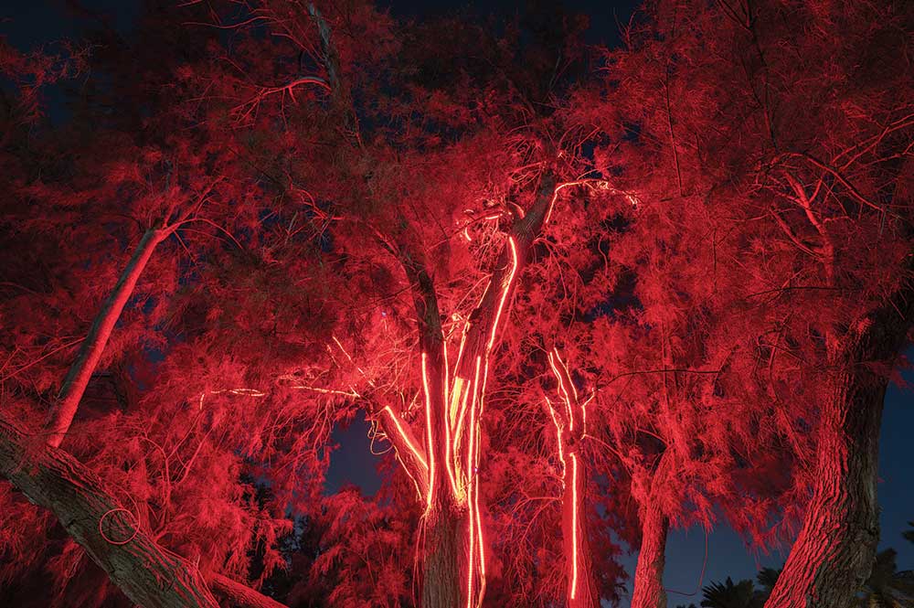 Stanza Out Of Breath. Steve Tanza.