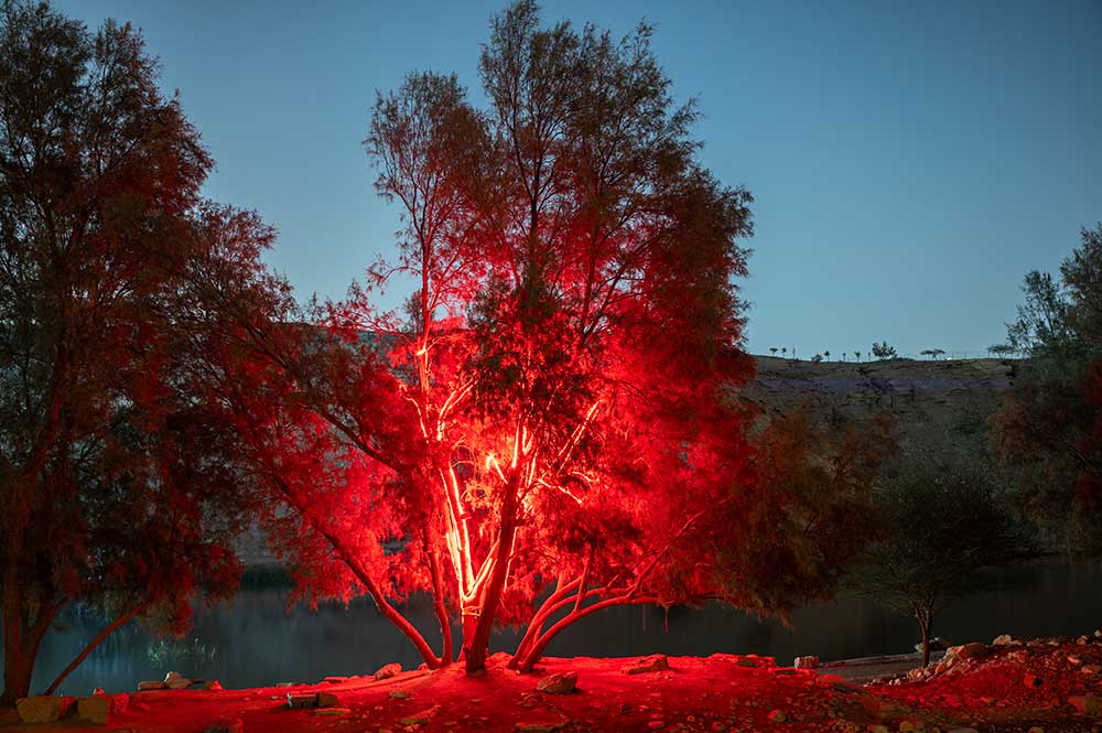 Stanza Out Of Breath. Steve Tanza.