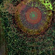 Stanza Lifeforms Art