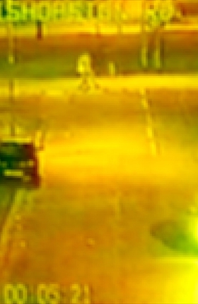 History Is Personal:Stars Of CCTV. 2008 