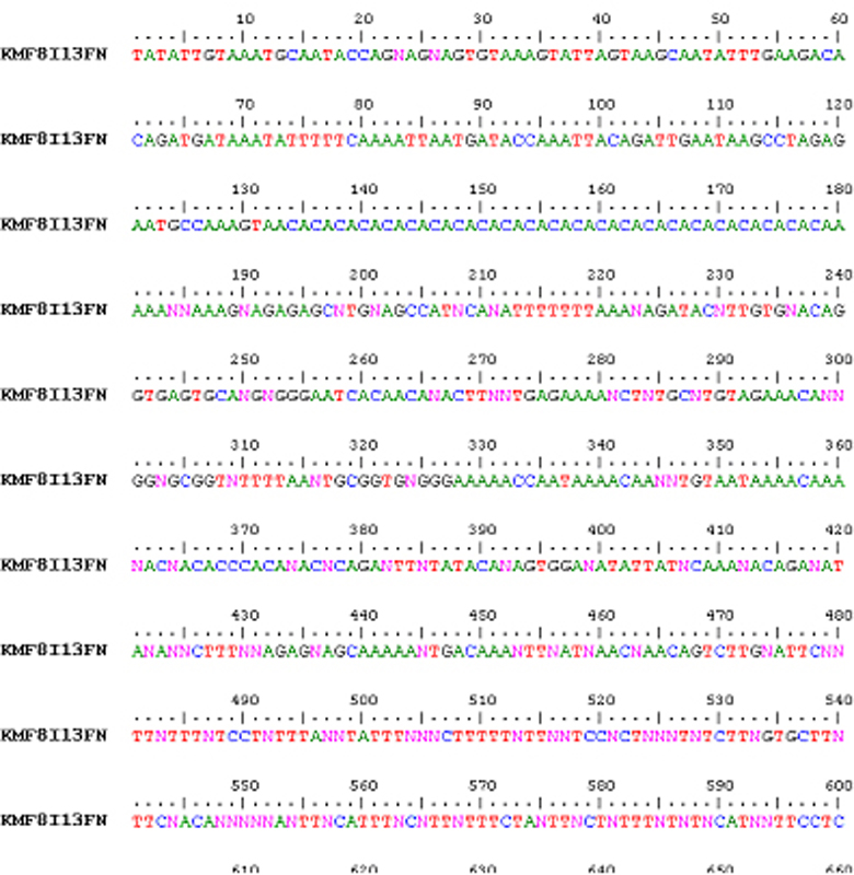 Steve Tanza. Stanza art