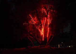 stanza Out Of Breath