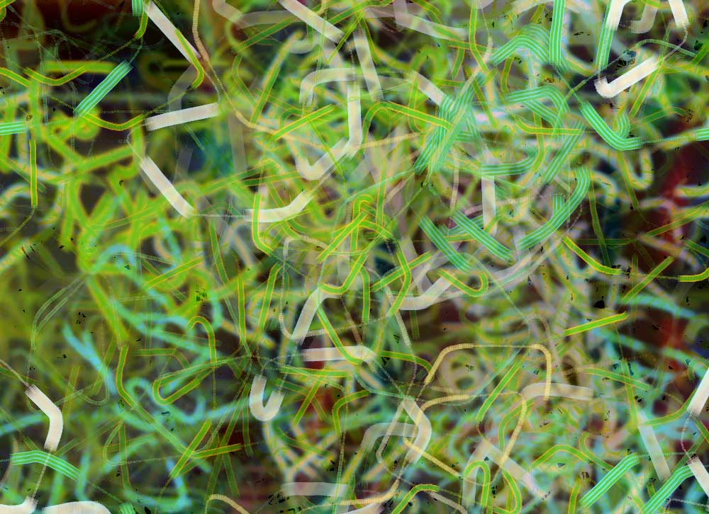 Digital generative artwork by Stanza