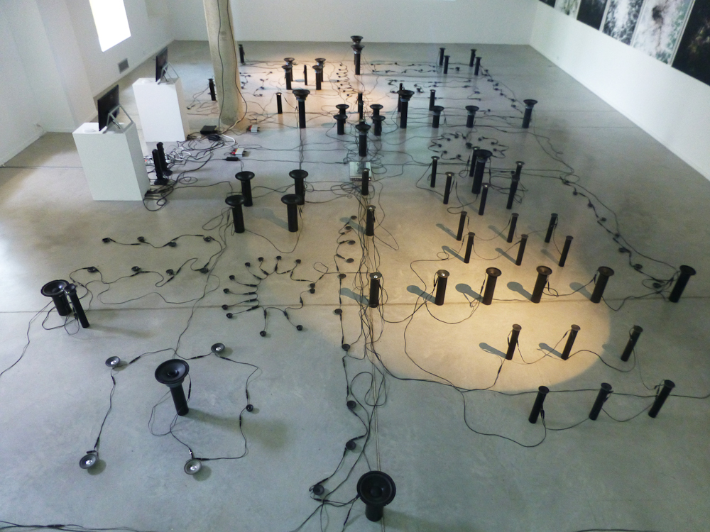 Stanza ,city sounds Steve Tanza