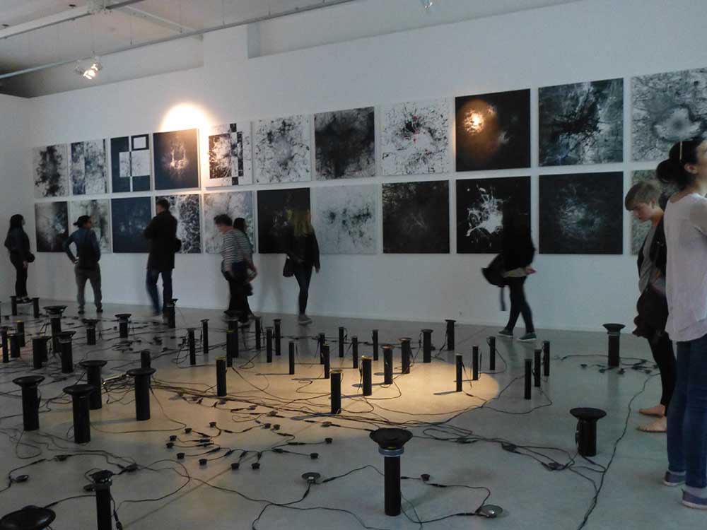 Installation also includes paintings by Stanza