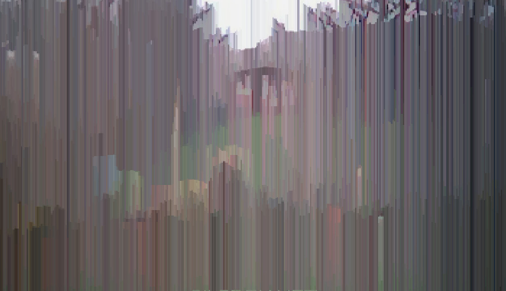 Stanza Artwork using networked cameras 2003