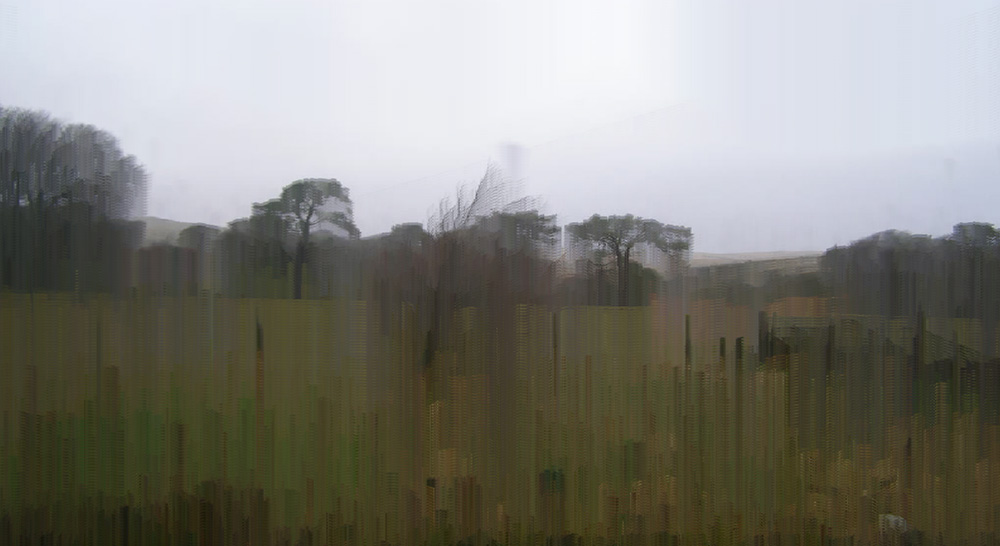 Stanza Artwork using networked cameras 4