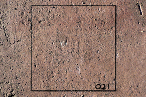 Stanza. Making new public squares in the city. Artwork by Stanza.